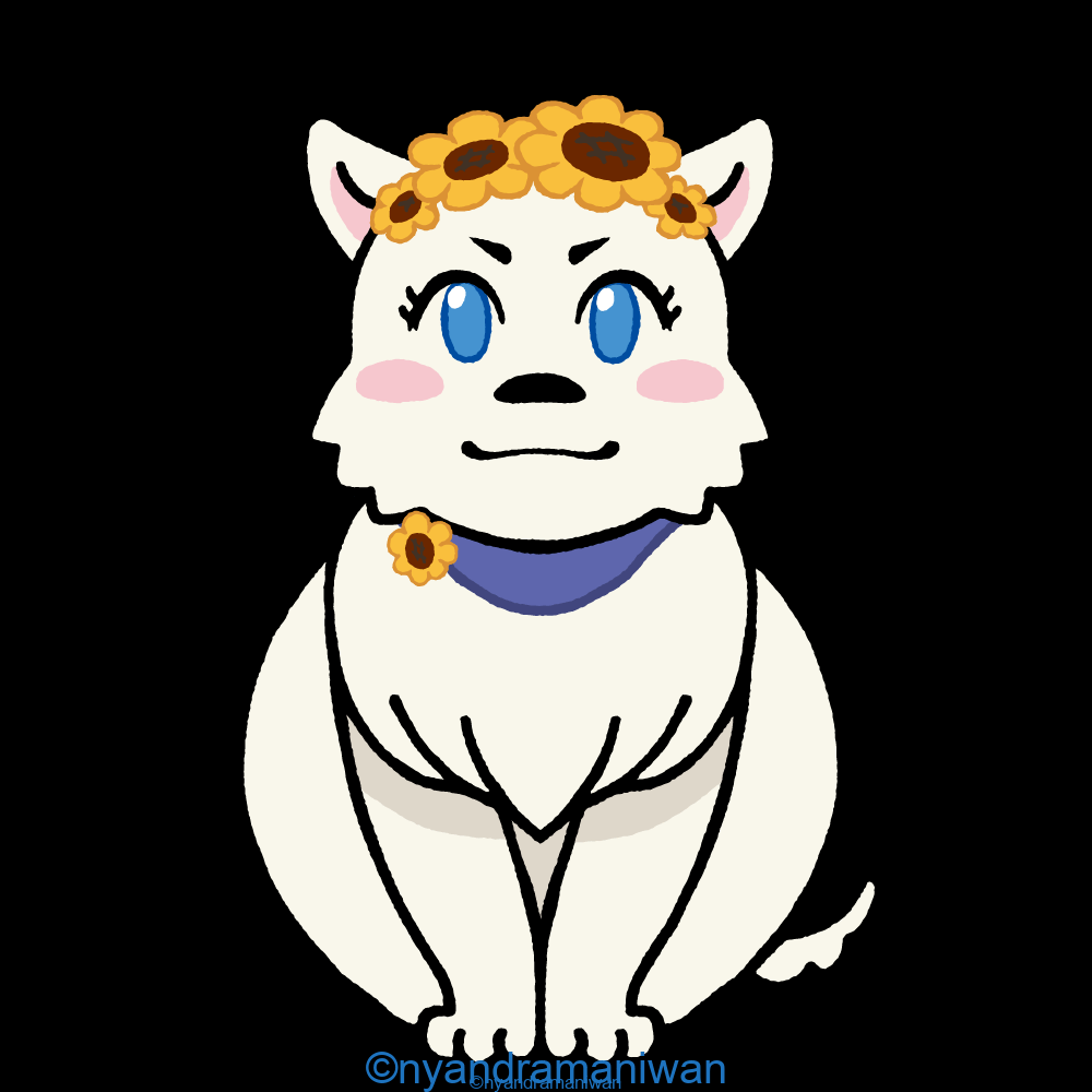 黒猫夫人全身