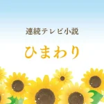 ひまわり｜あらすじ・キャストまとめ【松嶋菜々子主演：NHK朝ドラ】