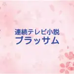 2026年後期朝ドラ『ブラッサム』